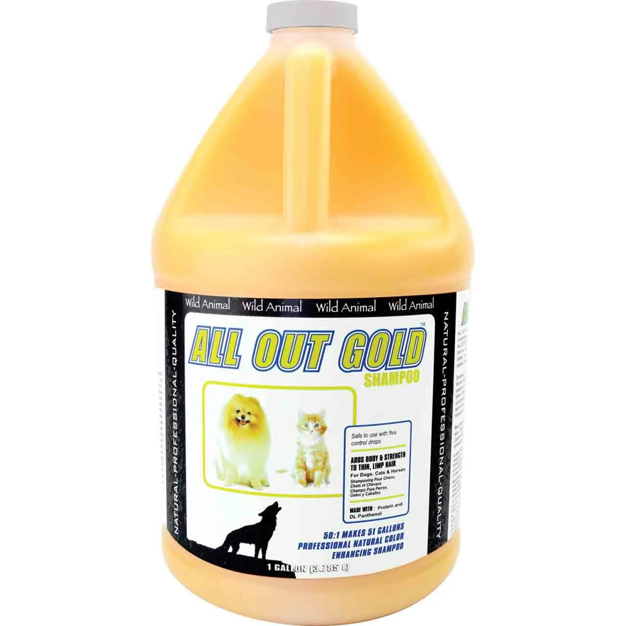All Out Gold Shampoo 50:1